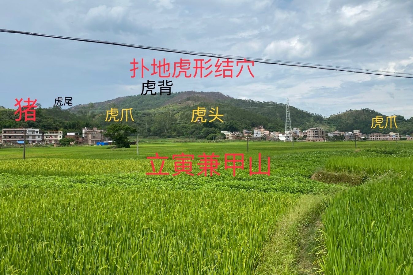 杨公寻龙点穴法