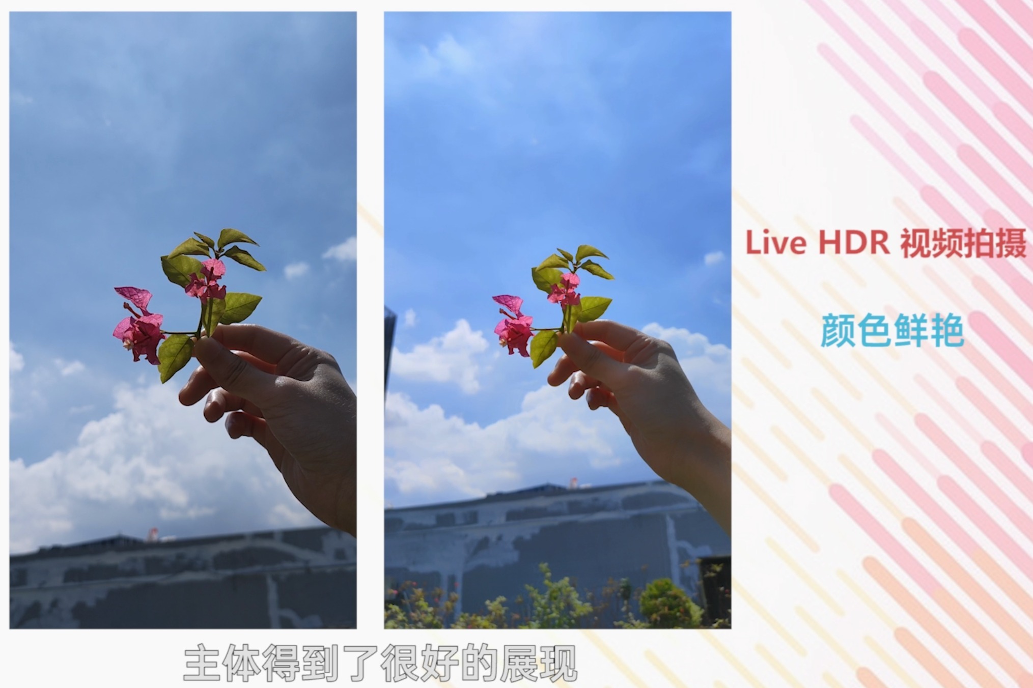 OPPO新机Reno4 Pro 无畏逆光拍摄，极致体验Live HDR视频拍摄模式