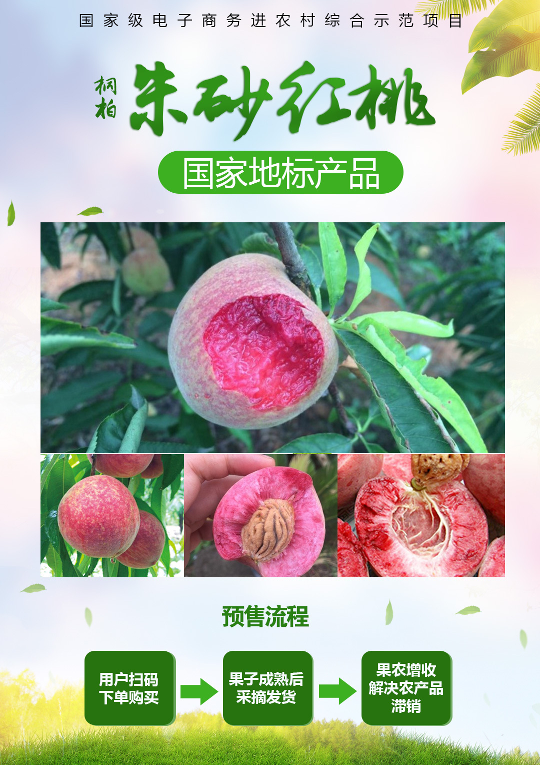 "桃"不过的甜美诱惑