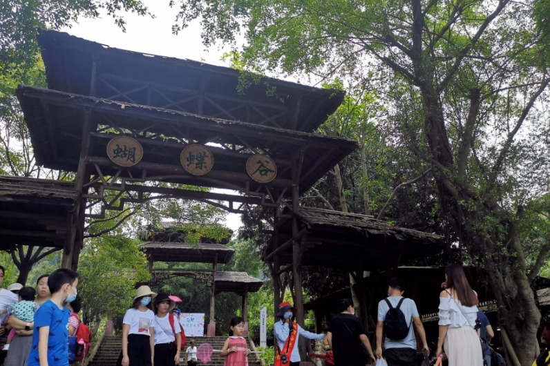 大鼎湖 森呼吸 鼎湖山中蝴蝶谷  彩蝶恋花人恋蝶 游人与蝶共舞10