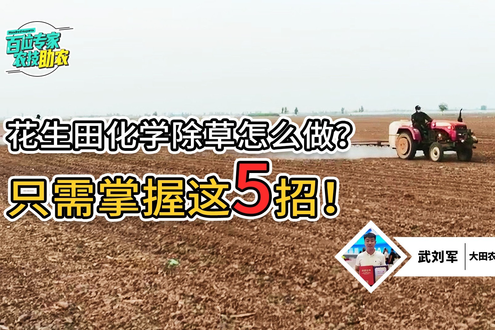 花生田化学除草，掌握这5点注意事项，不走弯路（蜜蜂TV）