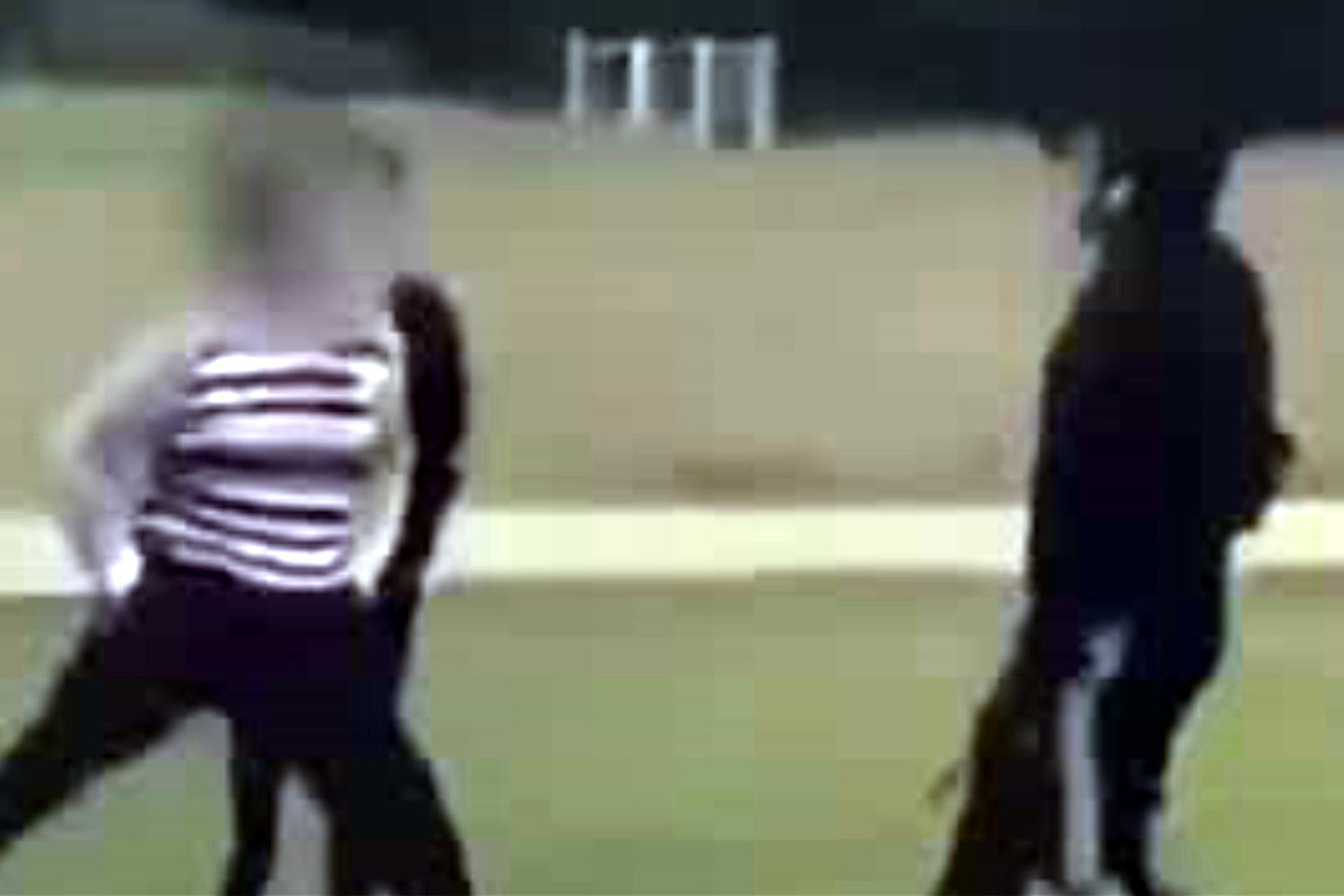 实拍：英国种族主义者侮辱亚裔不知收敛 攻击对方小狗瞬间被击倒