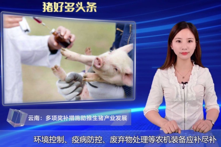 云南：最高一次性奖补300万元，引进一头原种猪奖4000元！