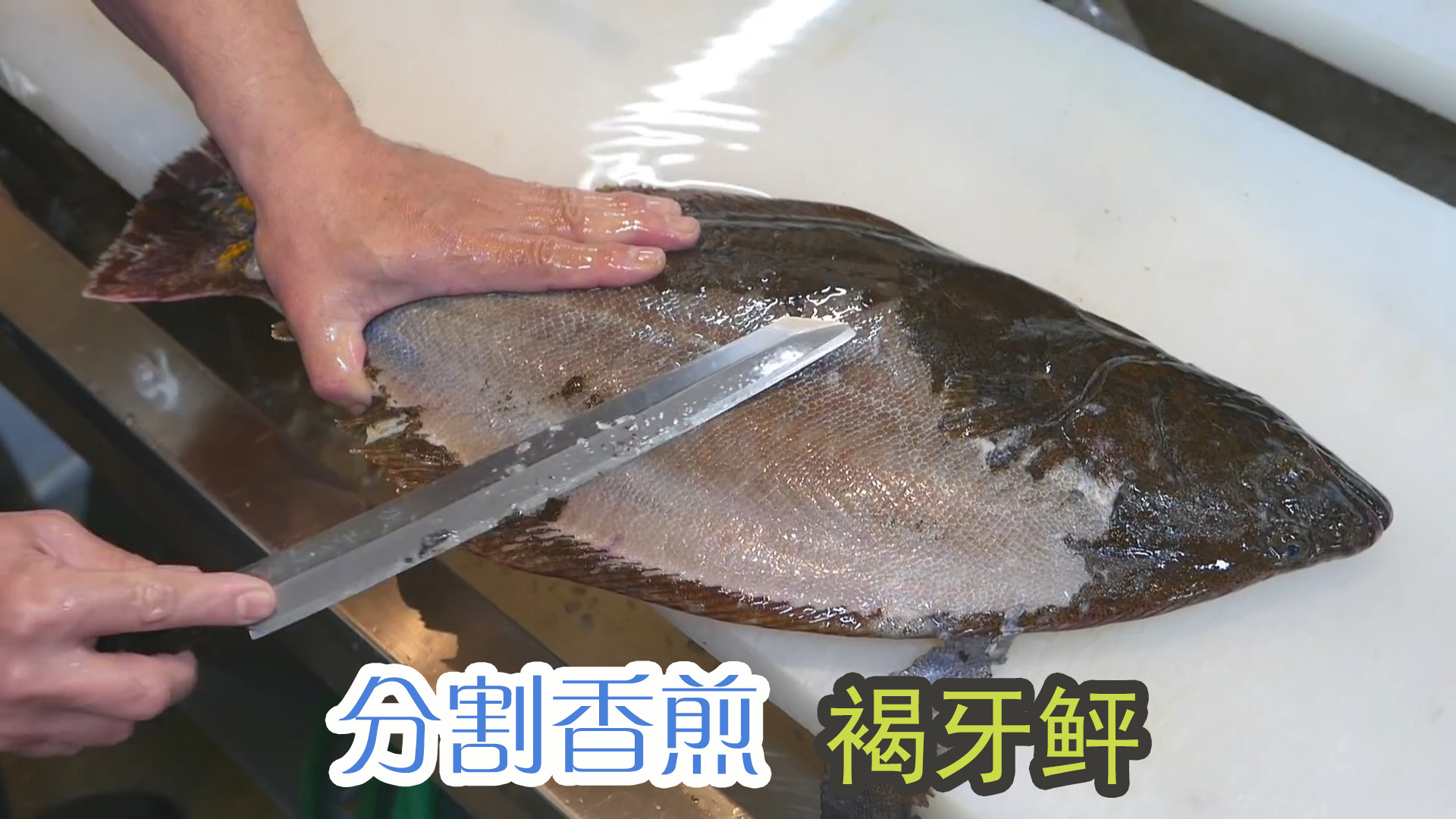 日本厨师处理10斤重褐牙鲆,分割去皮取裙边肉下锅香煎!