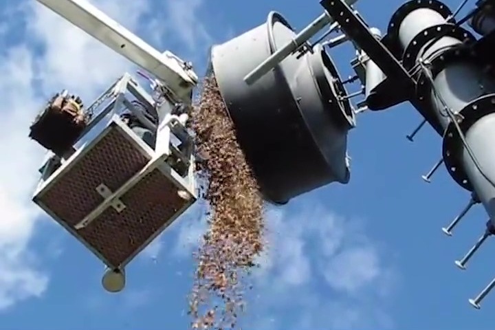 辛辛苦苦大半年，一夜回到解放前