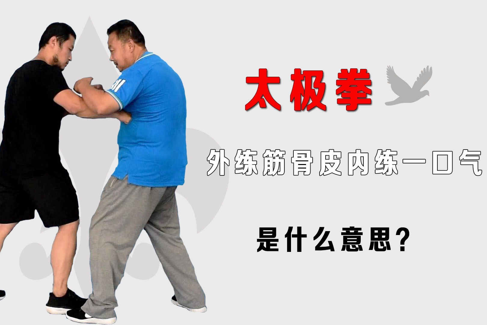 太极拳庞恒国师傅揭秘:武术外练筋骨皮内练一口气