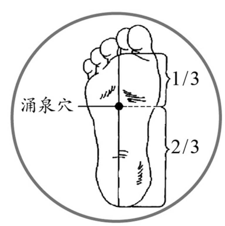 脚底失眠点图图片