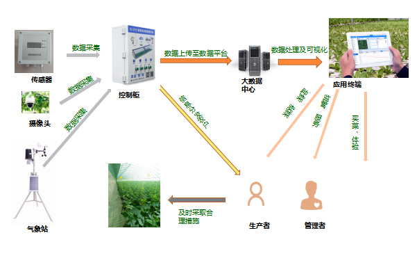 一篇文章让你明白：域名的定义与命名规则(一篇文章让你摆脱恐艾)