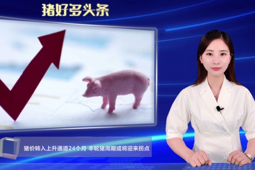 猪价已上升24个月，本轮猪周期或将进入下降通道，拐点或将到来!