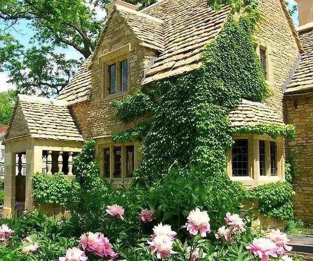 爬满了绿色的这些小城堡,不经意还会开出朵花