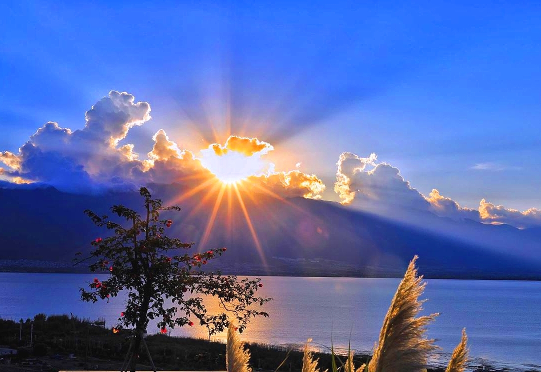 在大理宅家是一种什么样的体验:吃茶吃饭过,听风听雨眠!