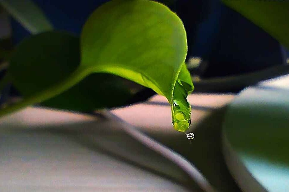 舒适和功能完美结合