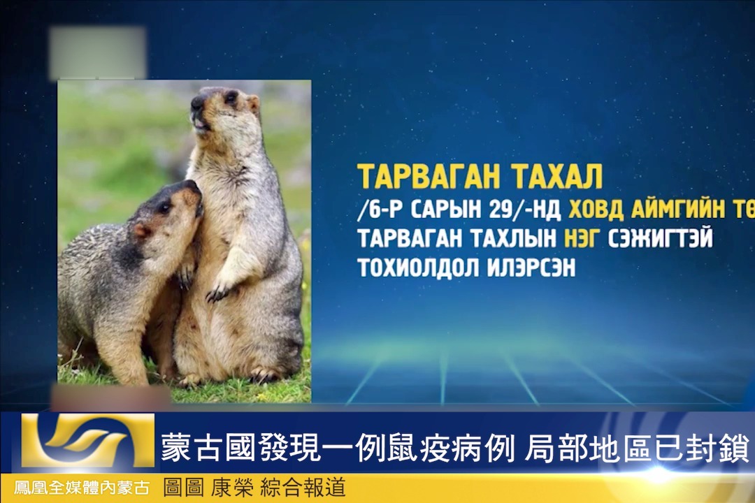 蒙古国发现一例鼠疫病例 局部地区已封锁