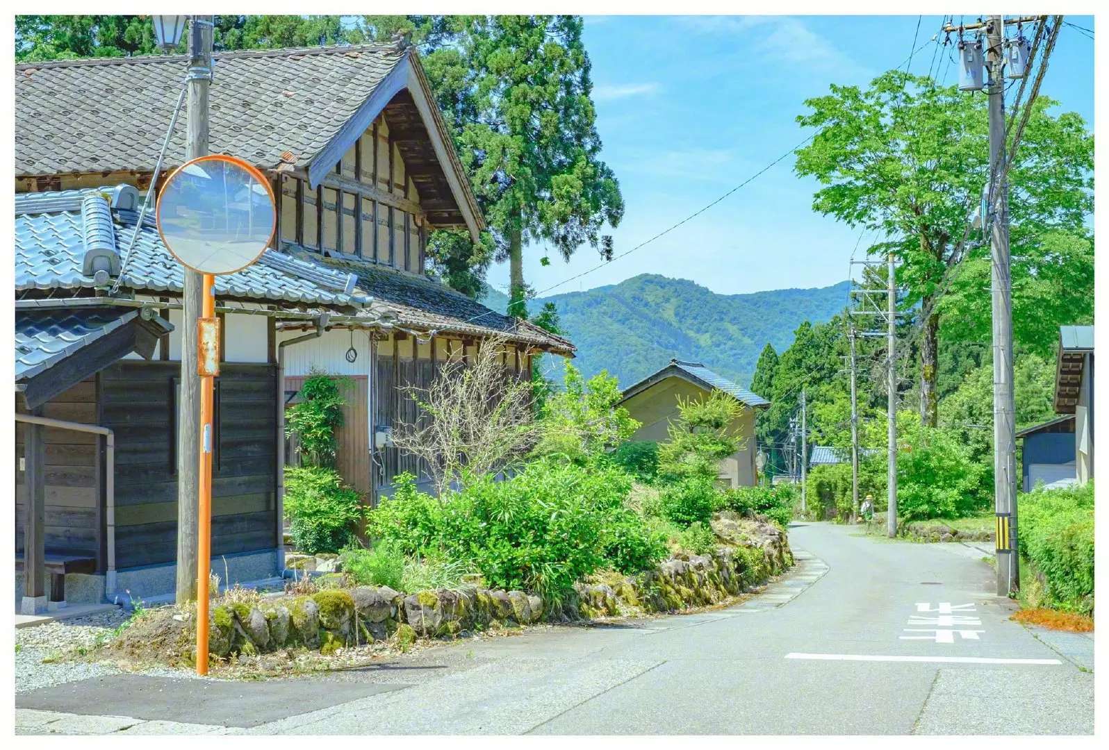 日本:夏季的乡间小道__凤凰网