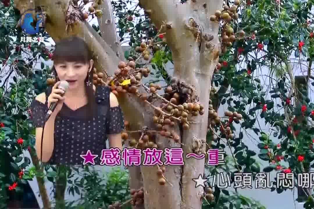 带你一起听好歌 翻唱闽南歌曲 心闷_凤凰网视频_凤凰网