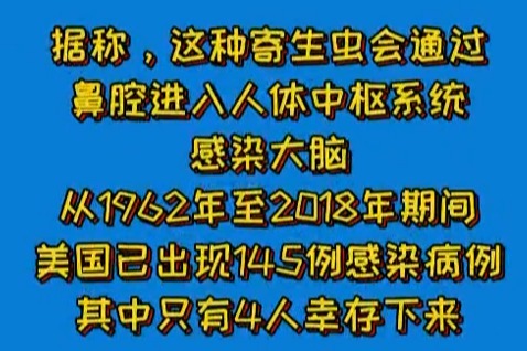天佑美利坚！“食脑虫”入侵美国，能从鼻腔进入感染大脑！