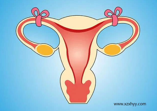 4:患有妇科炎症的女性:比如深受阴道炎,盆腔炎等妇科炎症的困扰,如果