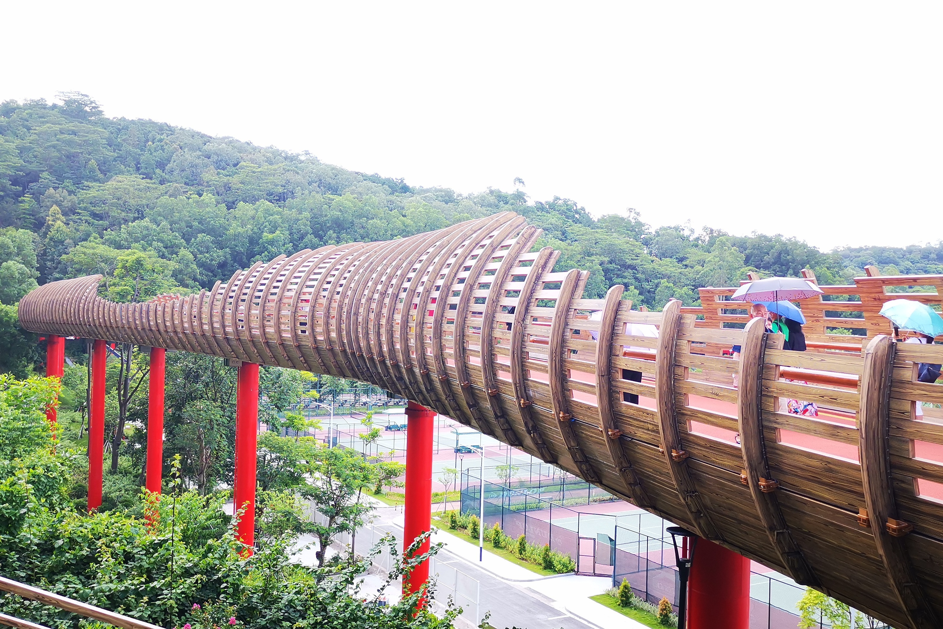 谁持彩练当空舞江门市江海区江南街道彩虹村1