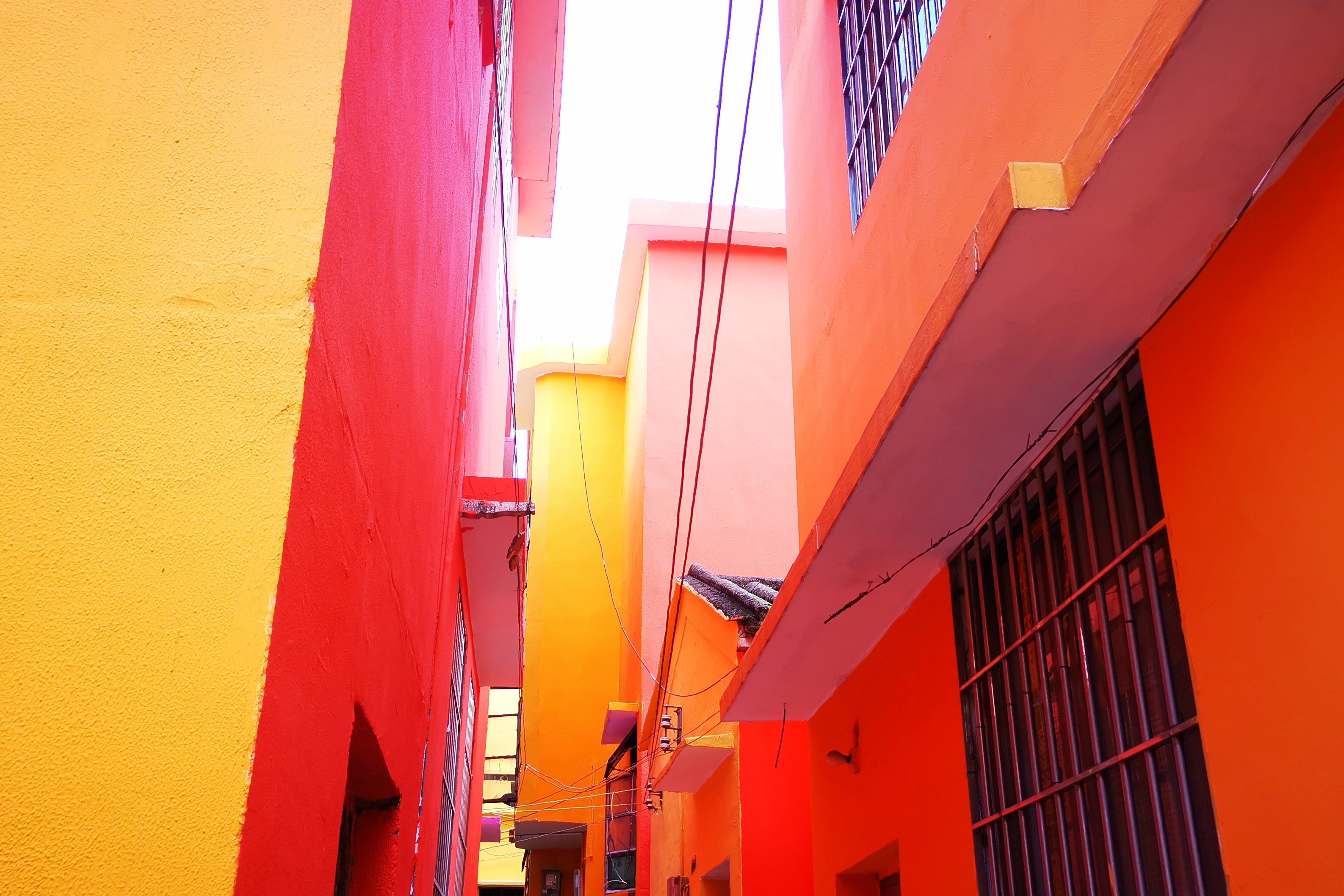 谁持彩练当空舞 江门市江海区江南街道彩虹村4