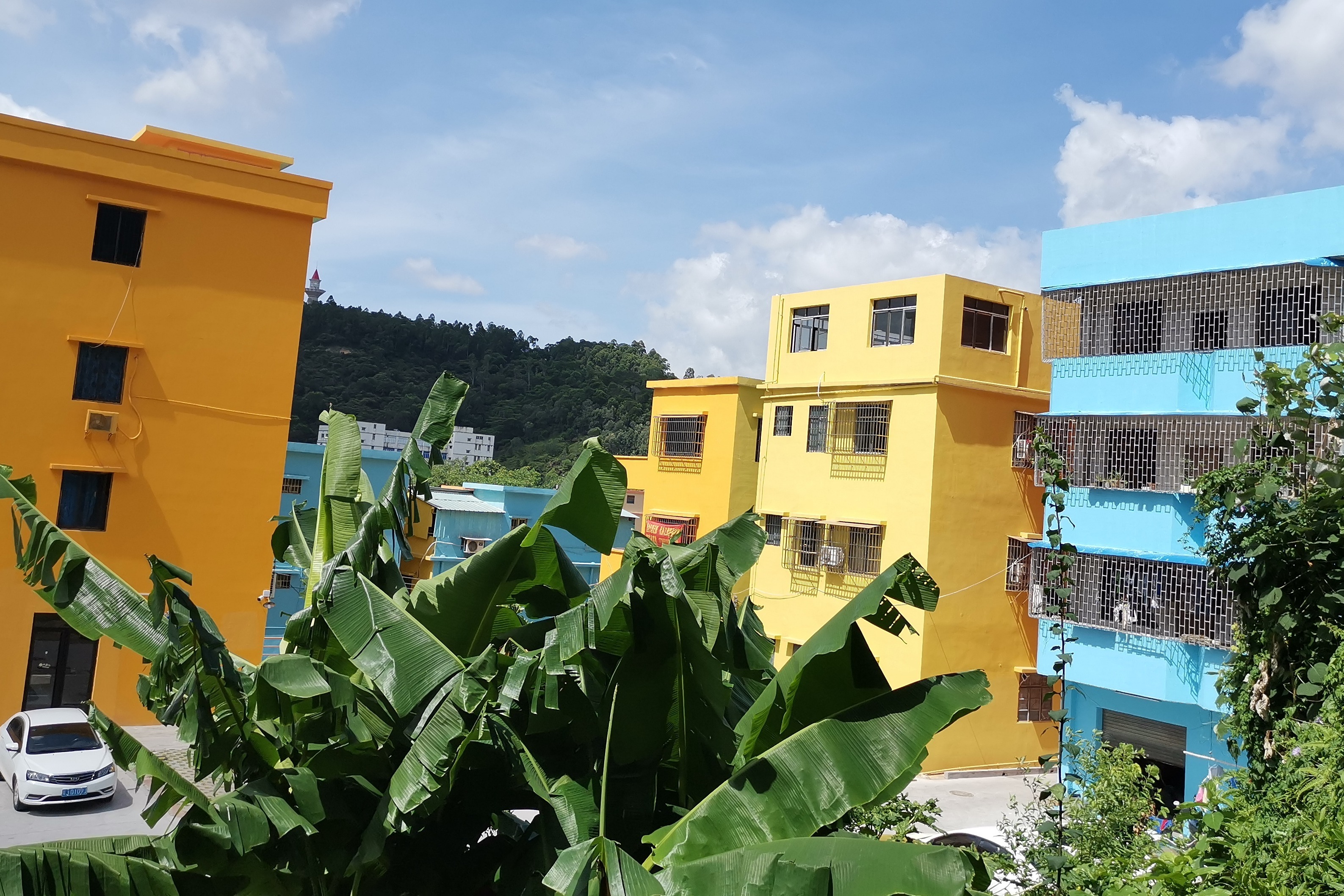 天空拽下一片彩虹装点成江门市江海区江南街道彩虹村6