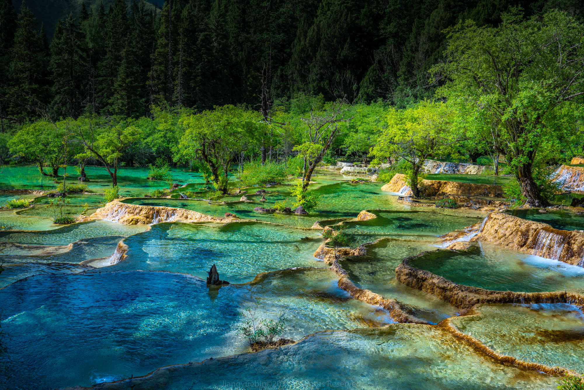 查看更多高清图片今年8月3日-5日(农历六月十三日至十五日),为黄龙