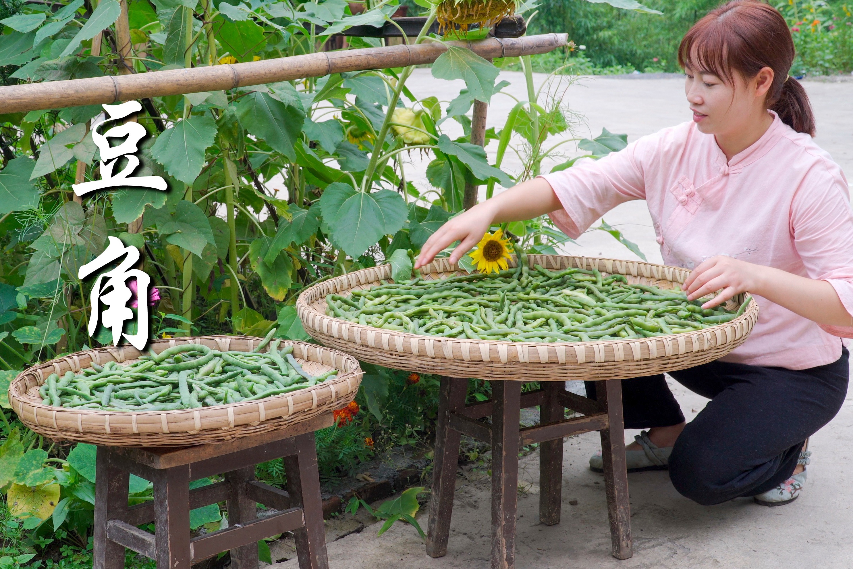 摘点自家种的豆角回家做几道夏日下饭菜尝尝