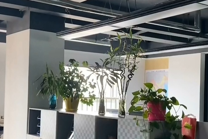 果然视频|等待172天后的文旅从业者：从万分沮丧到喜大普奔