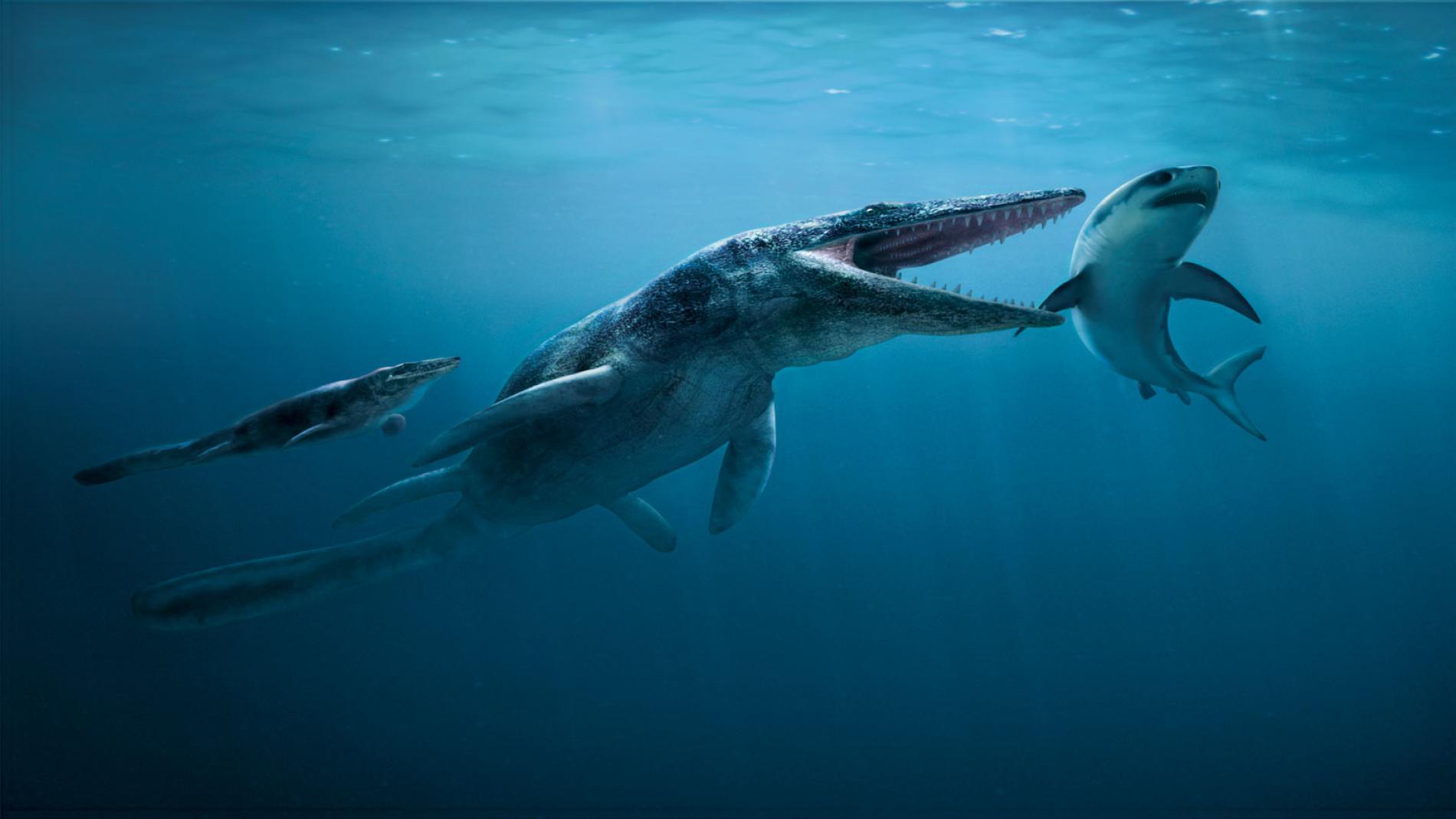 侏罗纪恐龙—沧龙苍龙深海恐龙海底生物Mosasaurus带骨骼绑定-恐龙-动物-lyd85919-CG模型网