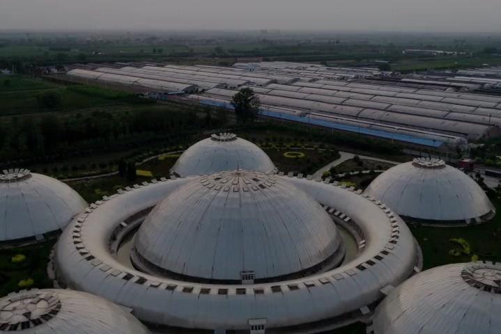 这才是田园综合体