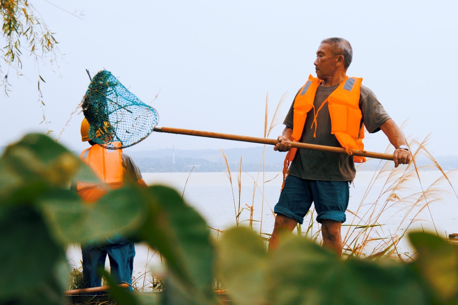 九江：汛情发生后，每天60余人，连续12小时清理八里湖湖面污染物