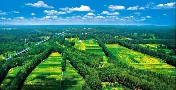 华北平原风景图片