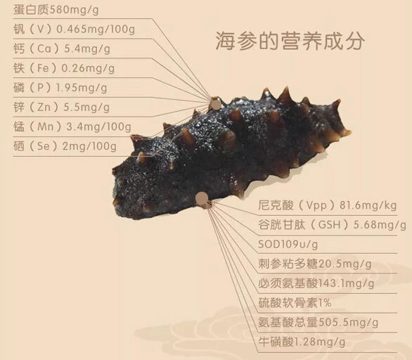 央視315晚會(huì)曝光“毒海參”！癌癥患者怎么選海參？