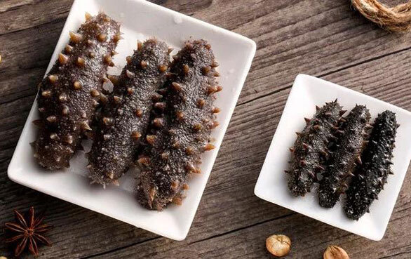 央视315晚会曝光毒海参癌症患者怎么选海参