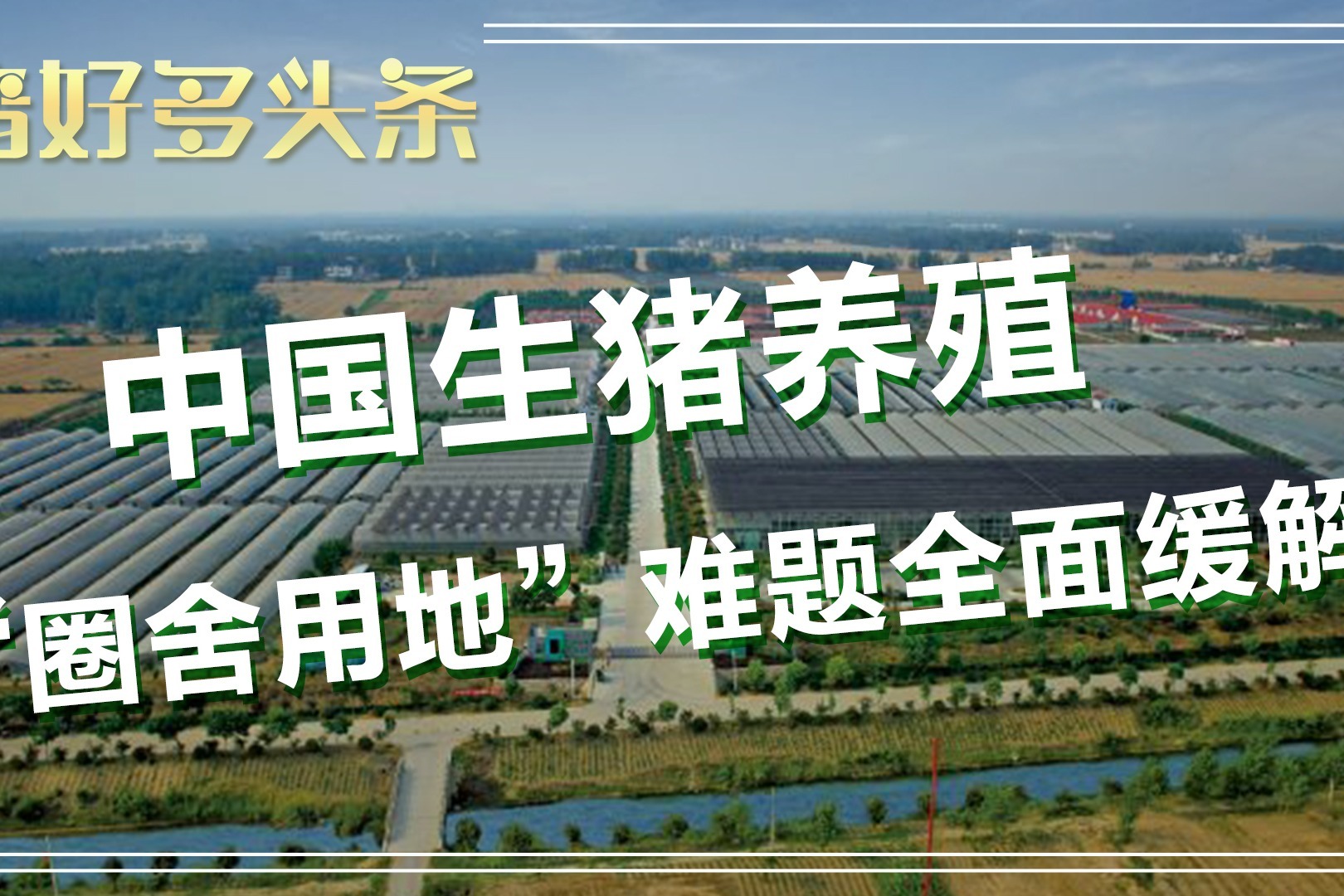 最新的生猪养殖用地政策，生猪养殖不需办理建设用地审批手续