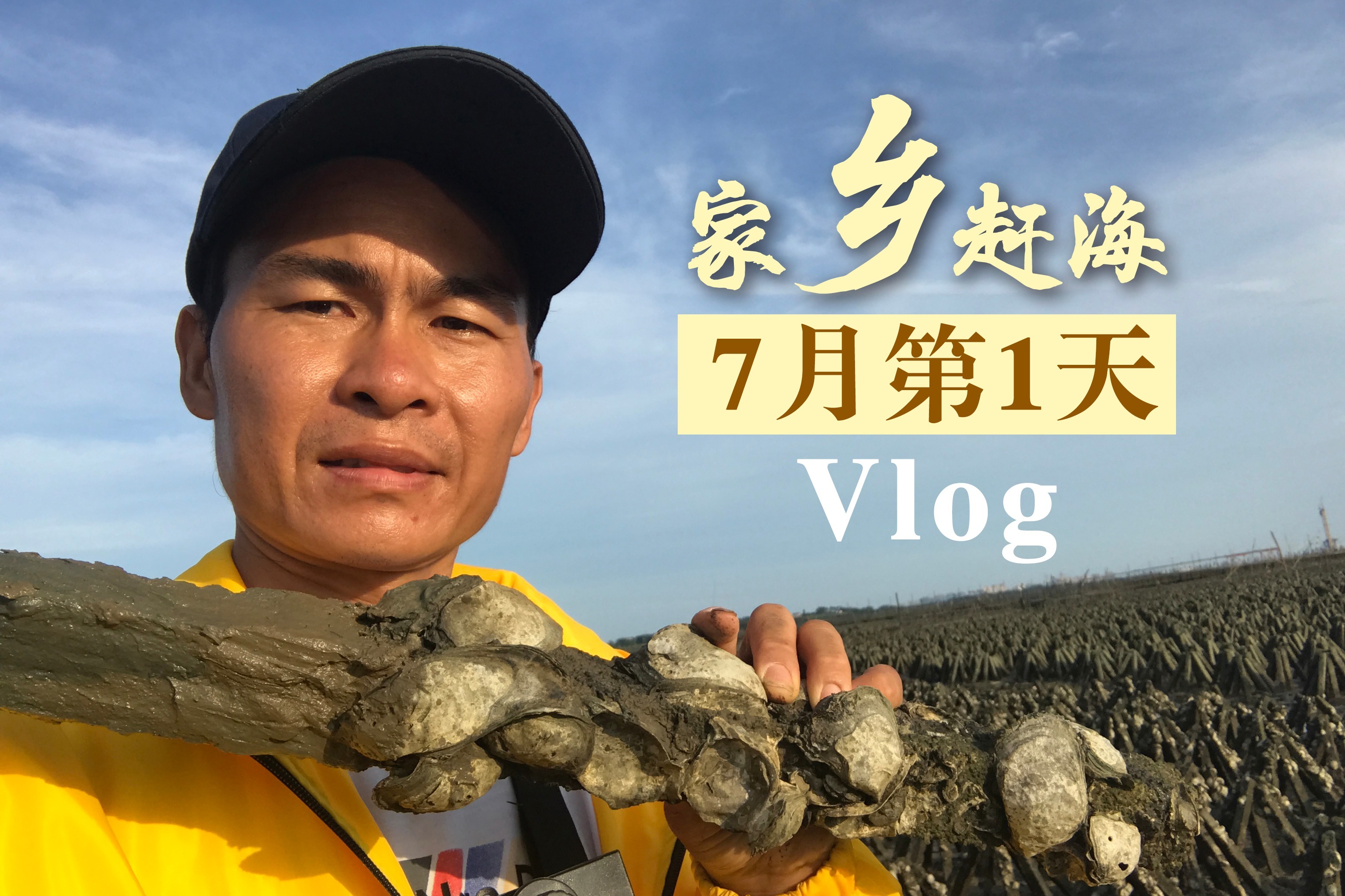 路过荒芜蚝林地：分享三年大小天然养殖生蚝涨见多识广，西瓜VLOG