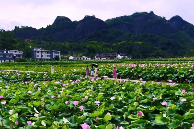 江西宁都：“十里画廊”邀您赏荷观山