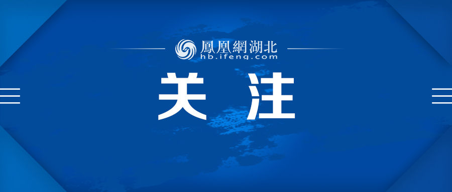 关注公众号banner图片