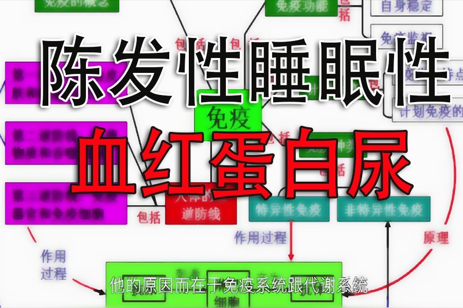 冀兆魁：陈发性睡眠性血红蛋白尿的症状一样吗？