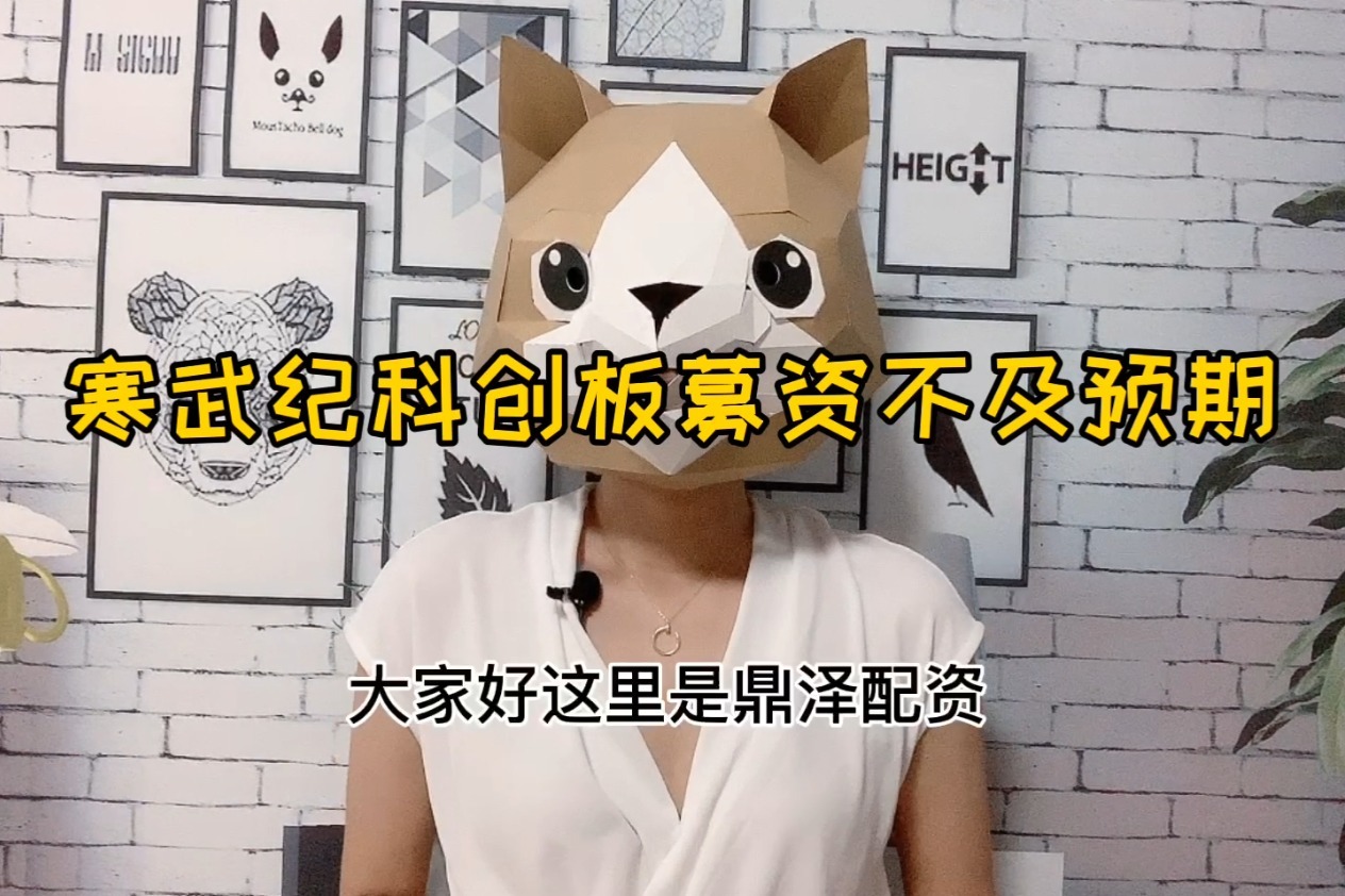 网上鼎泽股票配资平台炒股解读：寒武纪科创板募资不及预期