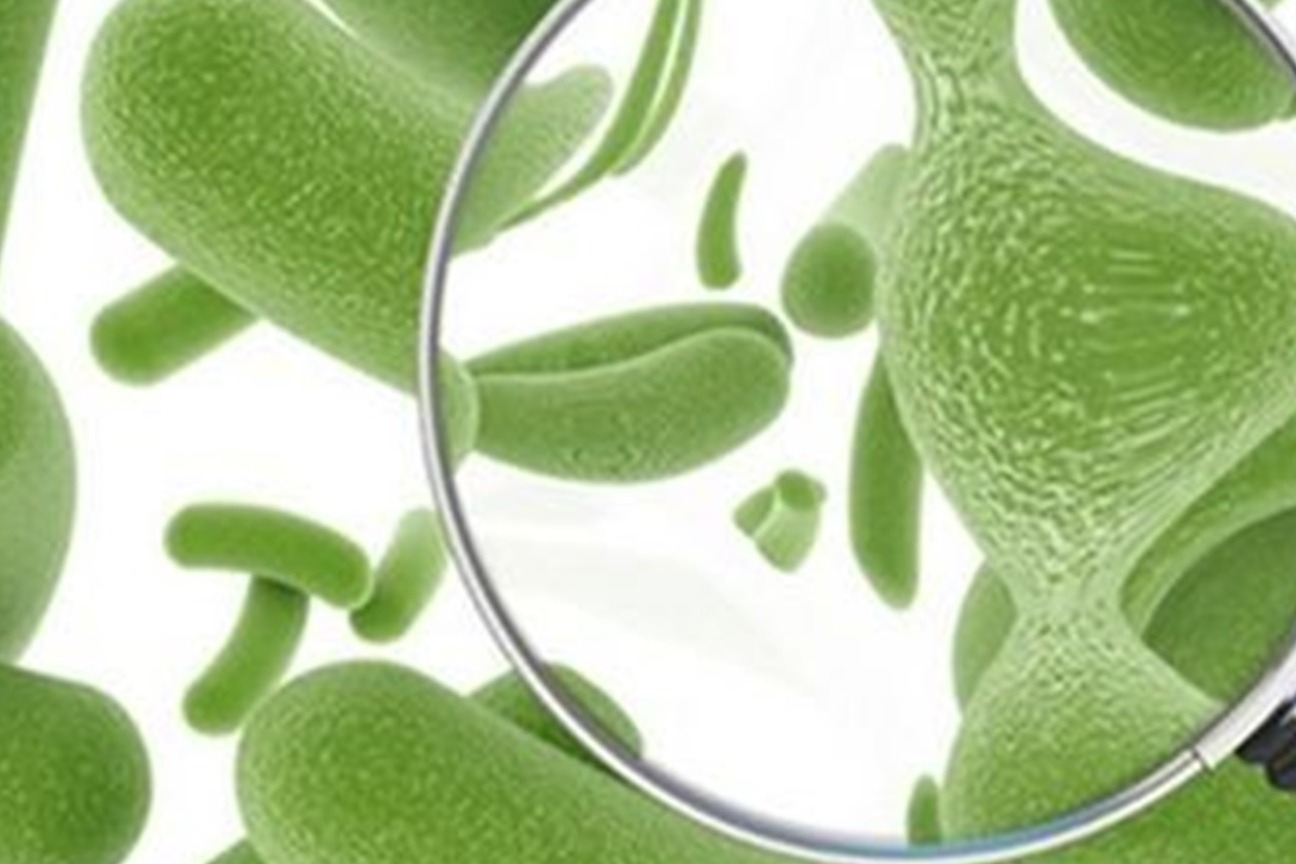 科普：自测自己是否需要补充益生菌