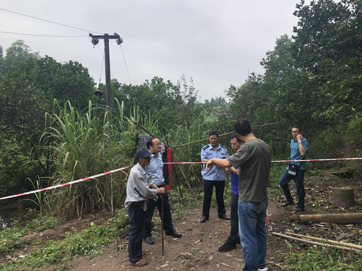 训练有素 通力合作 长寿区渡舟街道强力应对突发地质灾害|训练有素 通力合作 长寿区渡舟街道强力应对突发地质灾害