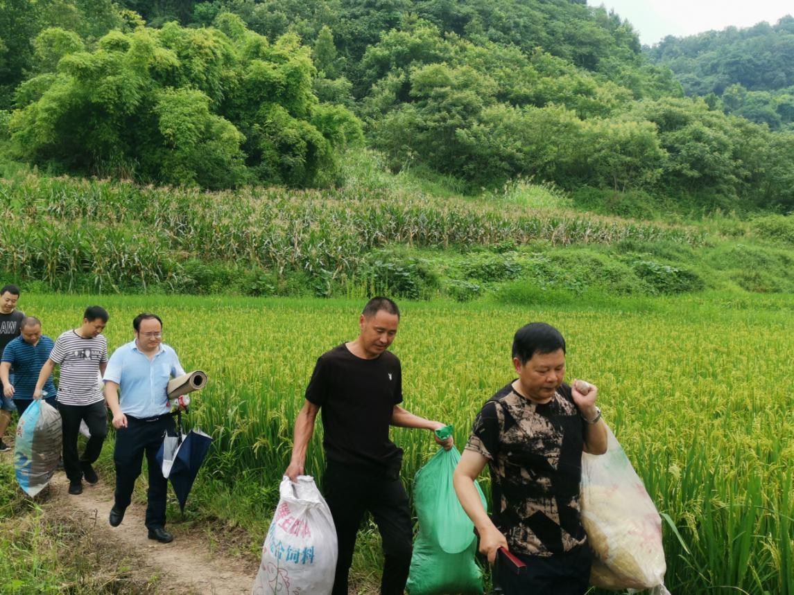 训练有素 通力合作 长寿区渡舟街道强力应对突发地质灾害|训练有素 通力合作 长寿区渡舟街道强力应对突发地质灾害