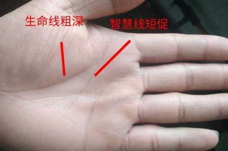 必备古代手相知识：天纹主贵贱，人纹主贫富，地纹主寿夭！