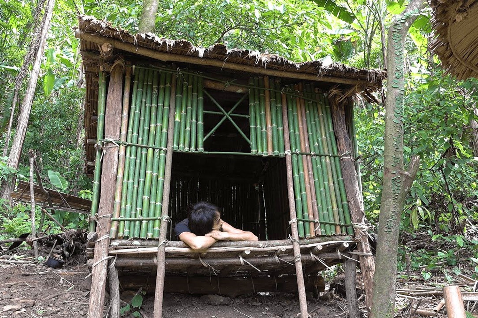 丛林生存，搭建居住竹屋，这生存技能很强大！