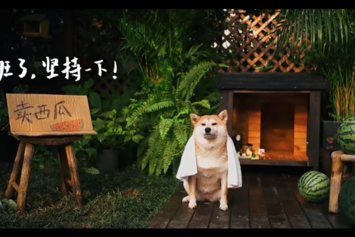 西瓜蛋糕了解一下