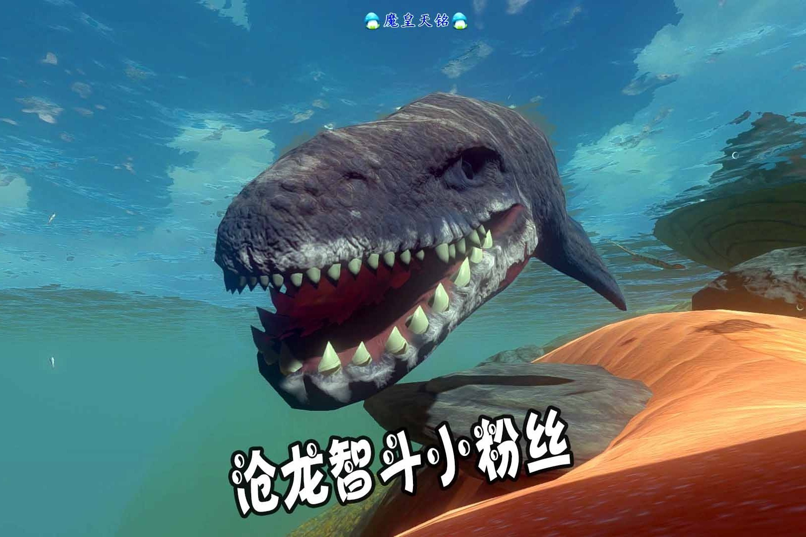 天铭海底大猎杀第二季123一言不合就罢工沧龙智斗小粉丝