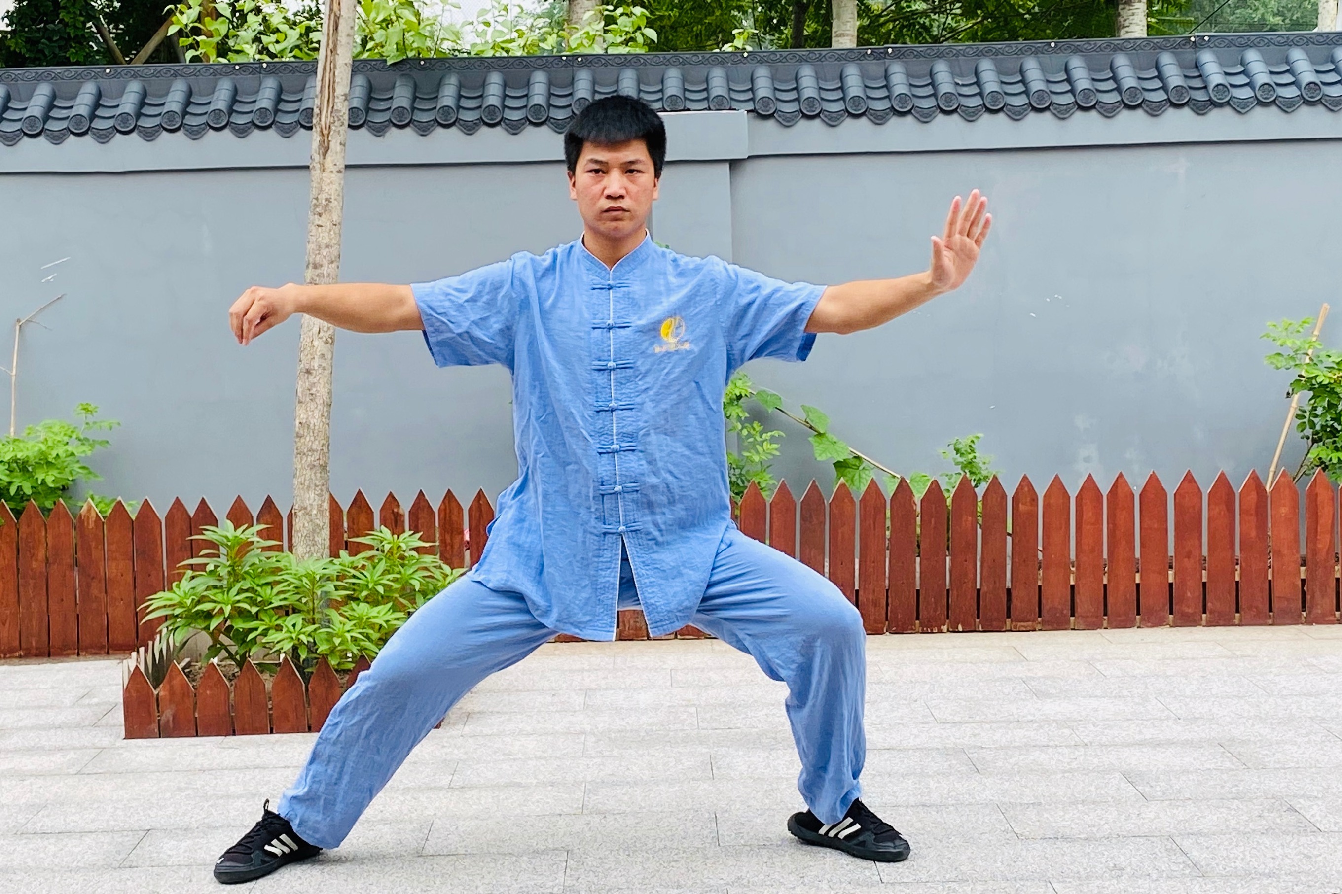正雷太极书院刘家瑞老师演示陈氏太极拳老架一路第二段