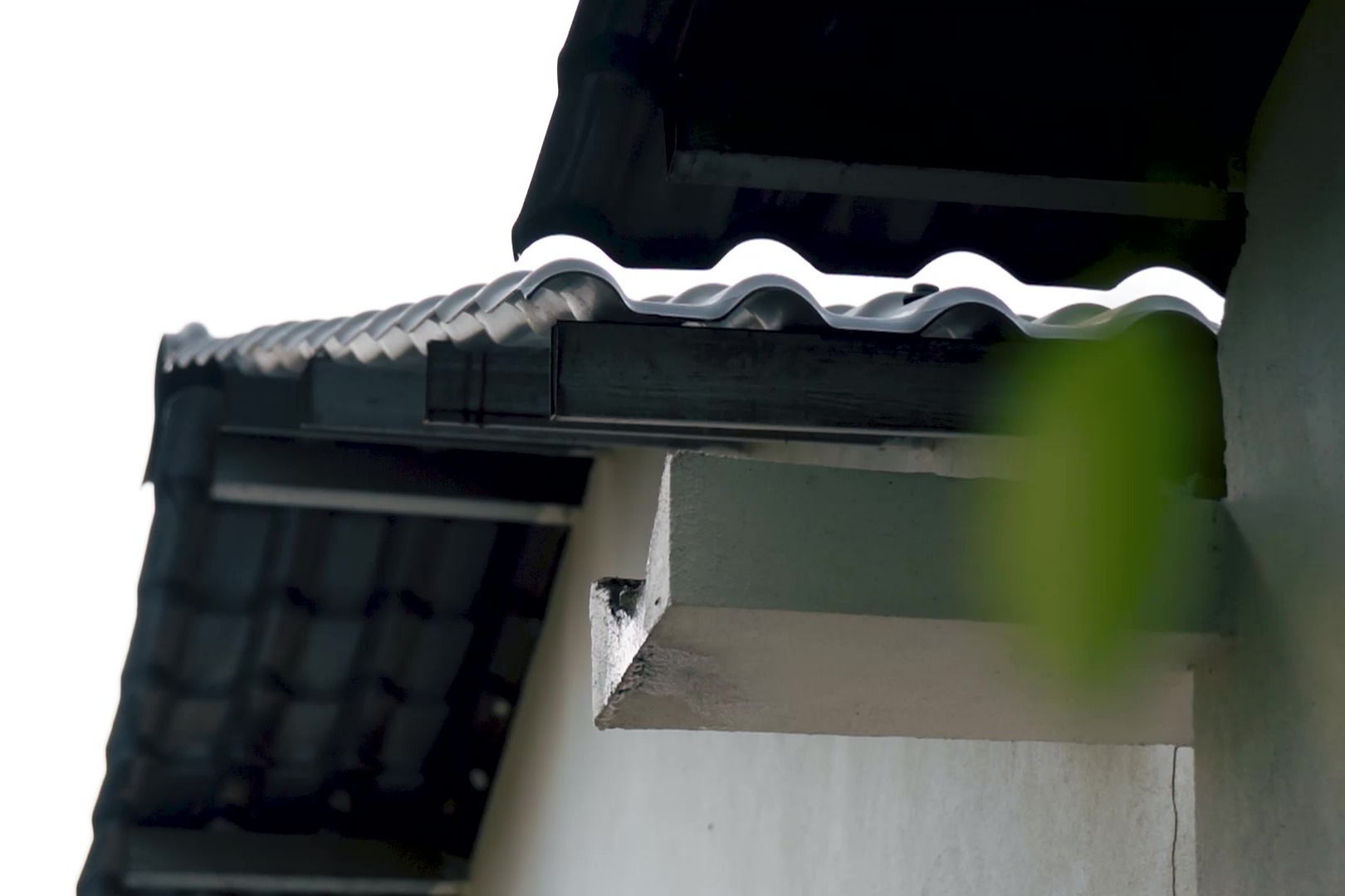 生活可以繁花似锦，也可以平淡如水