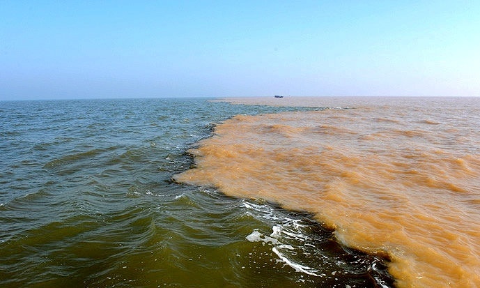 (原创首发)上官盘点旅游79—黄河入海,我们回家,湿地生态旅游走起