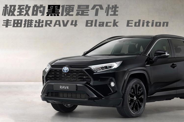 黑到极致便是潮！丰田推出RAV4黑色系